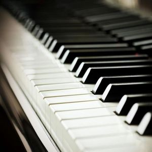 语音撰写小鸡导航
