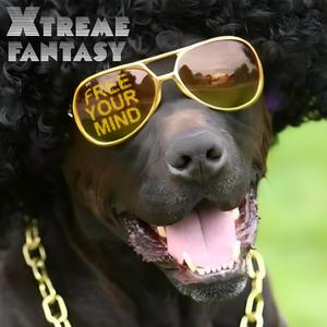 语音撰写小鸡导航
