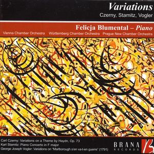 语音撰写小鸡导航
