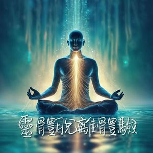 语音撰写小鸡导航
