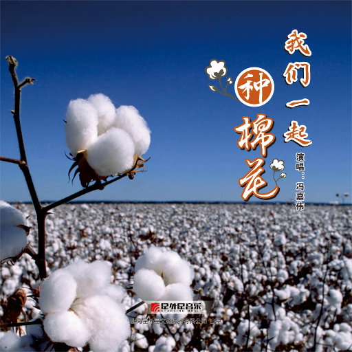 语音撰写小鸡导航
