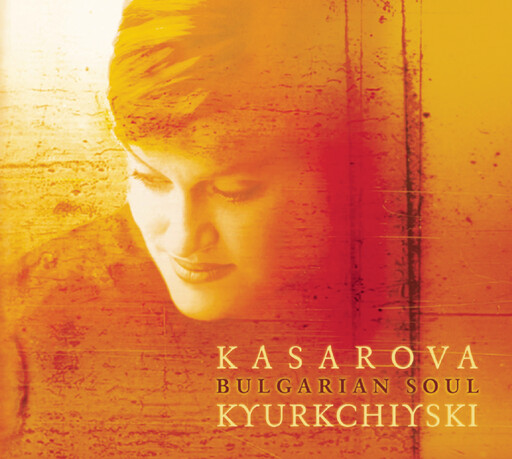 语音撰写小鸡导航
